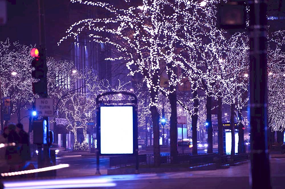 10 MustSee Christmas Attractions in Chicago