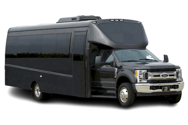 Luxury Mini Bus