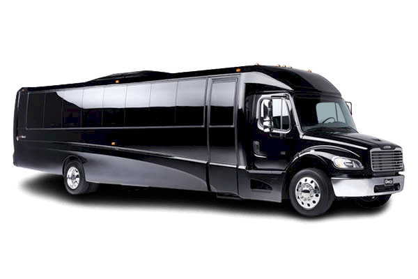 Luxury Coach