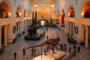 chicago tours 1