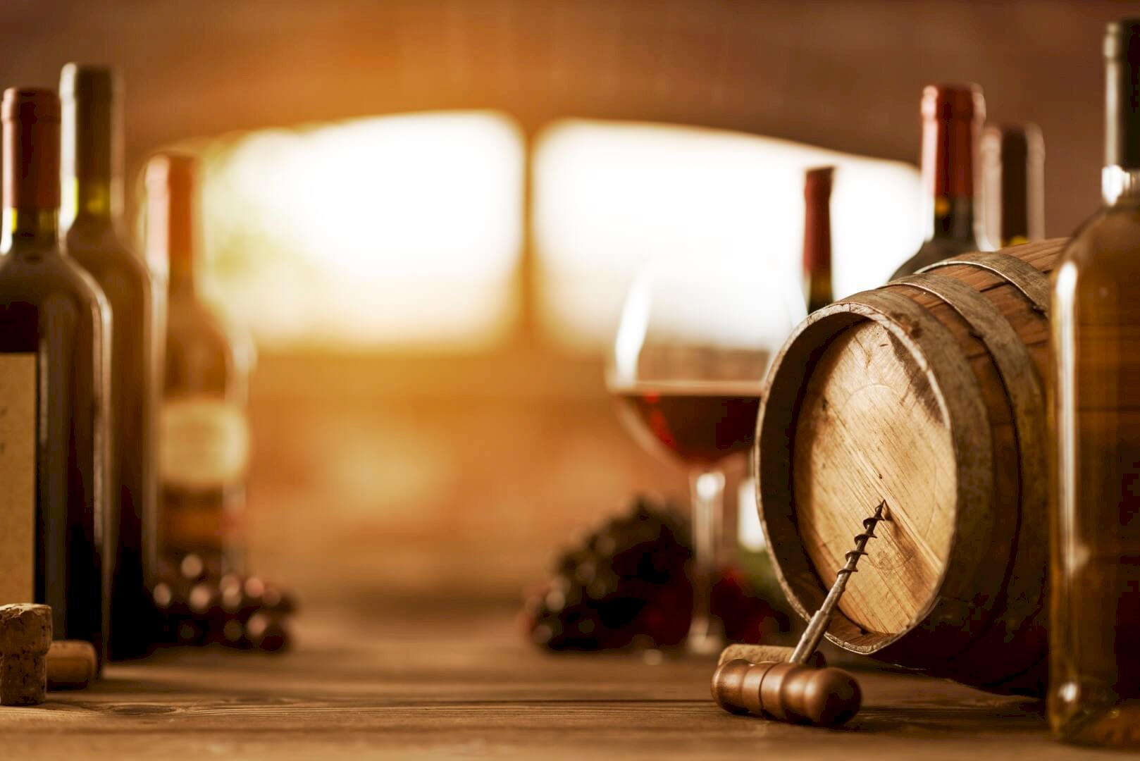 Wine Tours